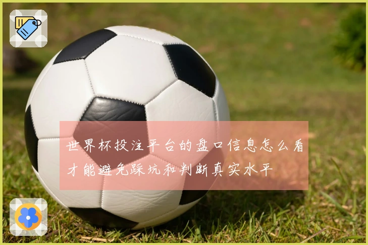 世界杯投注平台的盘口信息怎么看才能避免踩坑和判断真实水平
