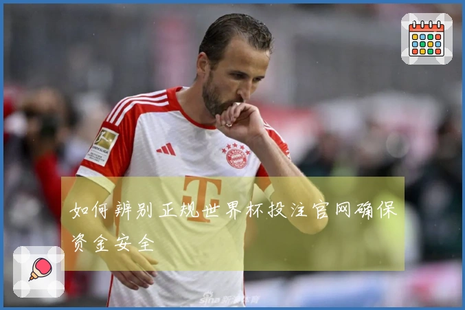 如何辨别正规世界杯投注官网确保资金安全