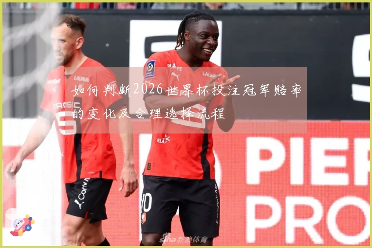 如何判断2026世界杯投注冠军赔率的变化及合理选择流程