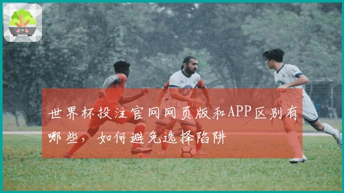 世界杯投注官网网页版和APP区别有哪些，如何避免选择陷阱